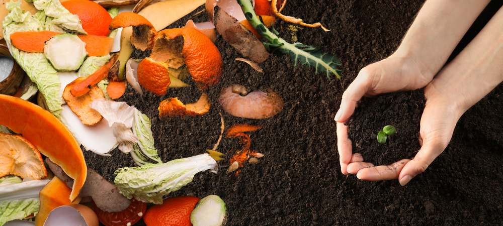 Types of Biofertilizers Explained | ROI Biologicals