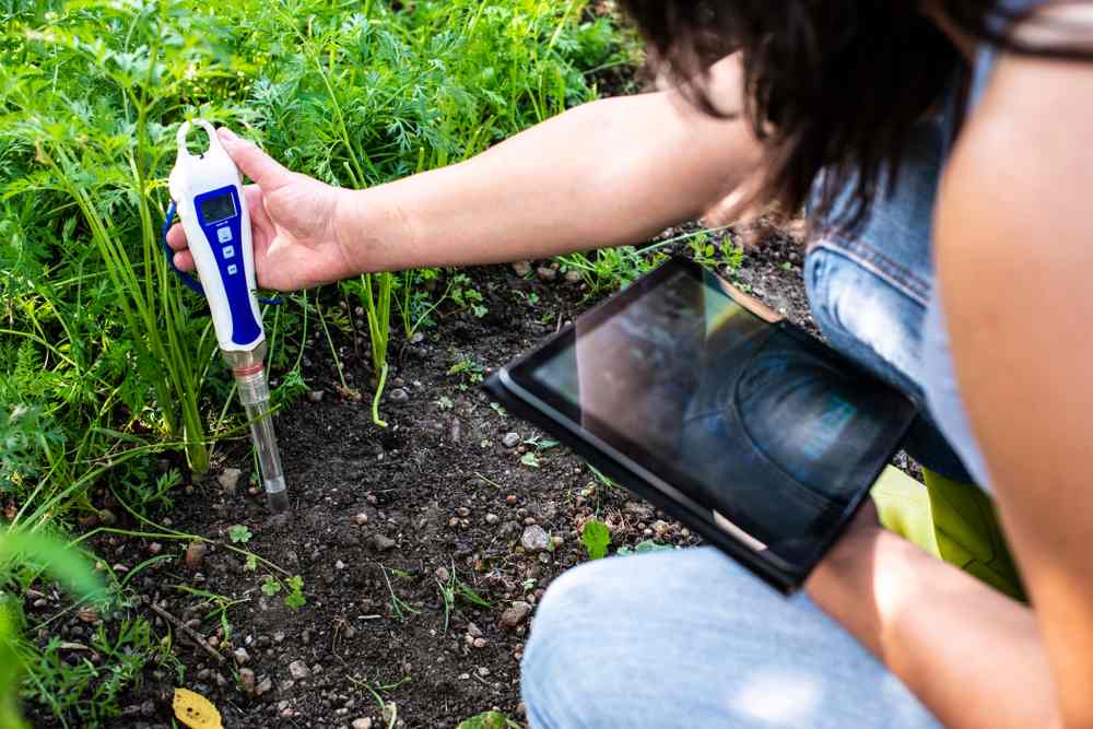 How to Test Soil for Agricultural Applications