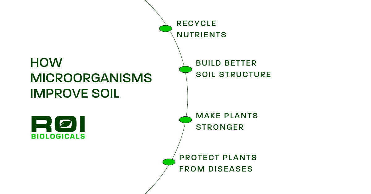 How Microorganisms improve soil graphic | ROI Biologicals