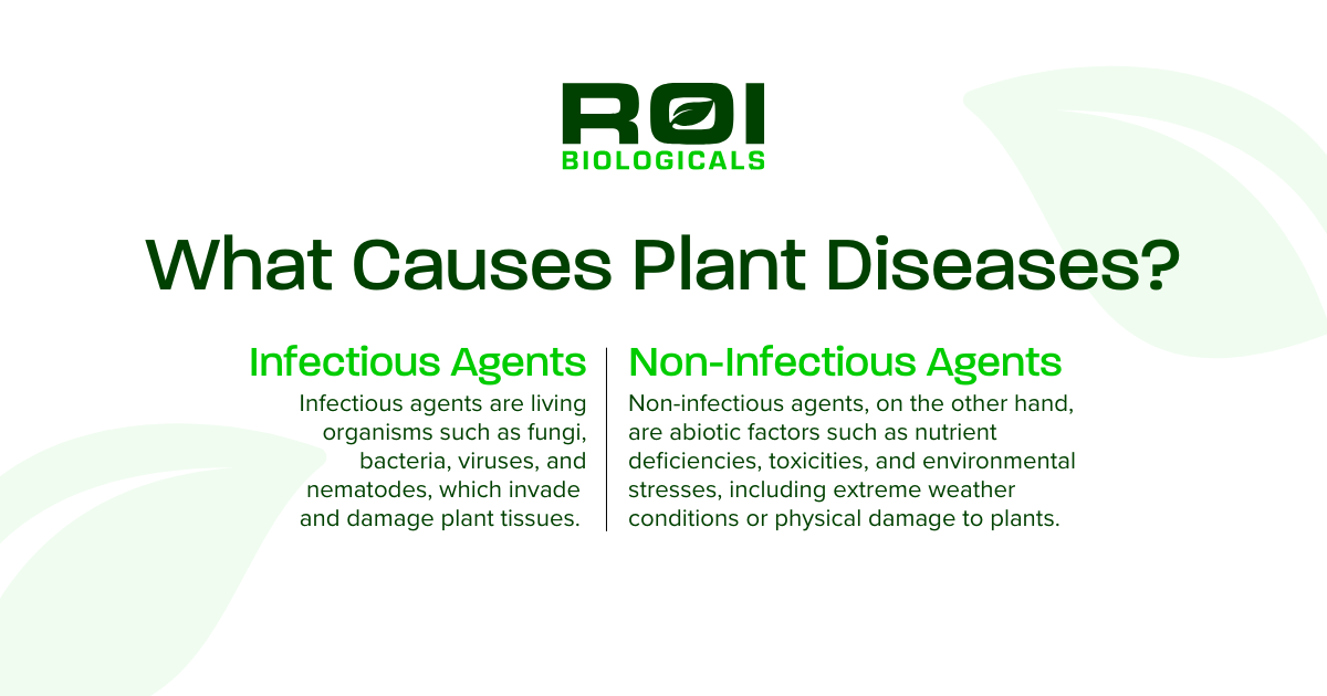 What causes plant diseases graphic | ROI Biologicals